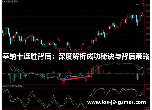 辛纳十连胜背后：深度解析成功秘诀与背后策略