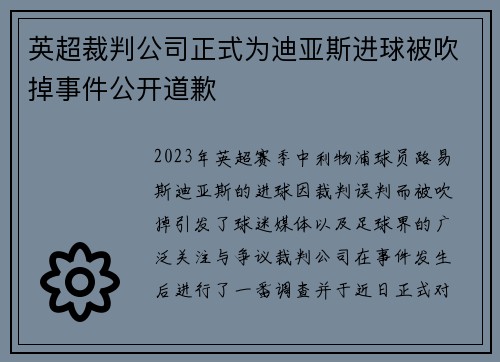 英超裁判公司正式为迪亚斯进球被吹掉事件公开道歉